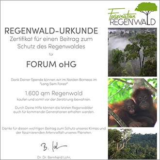 FORUM unterstützt den Erhalt des Regenwaldes